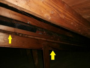 Leaking Roof